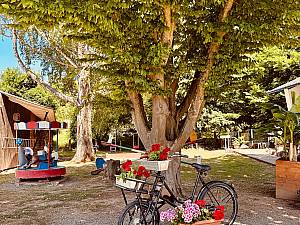 Campingplatz MainCamping in Miltenberg