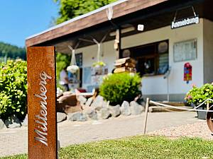 Campingplatz MainCamping in Miltenberg