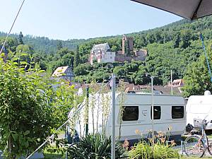 Campingplatz MainCamping in Miltenberg